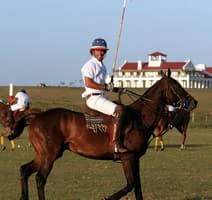 Join in on a game of Polo! 