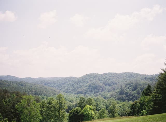 Blackberry Farm