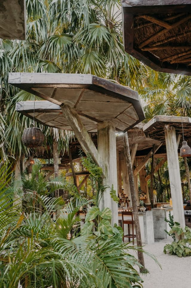 Wild Tulum