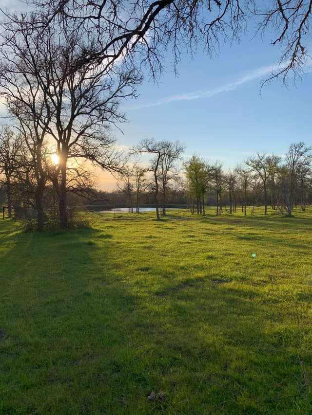 Forrest Creek Ranch