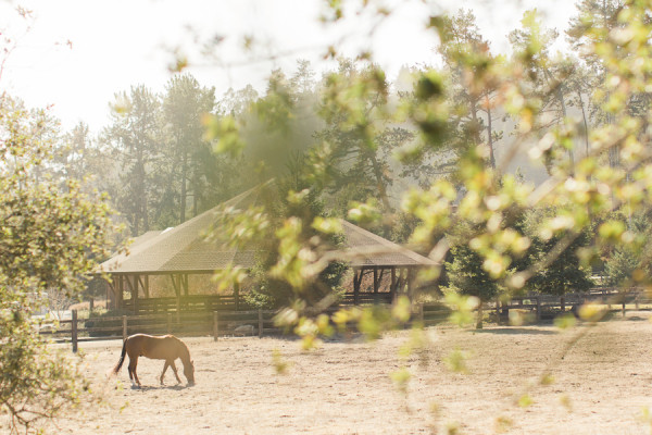 Devine Ranch