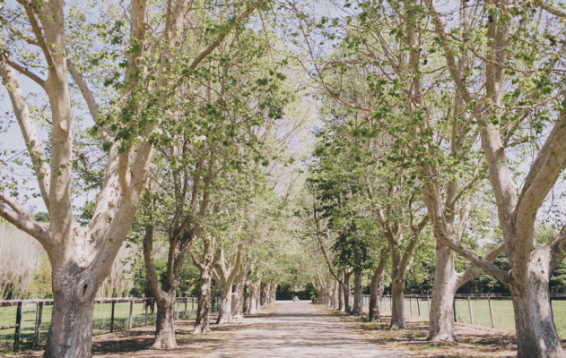 Whispering Rose Ranch