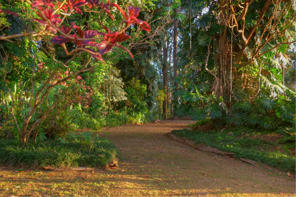 Sunset Ranch Hawaii