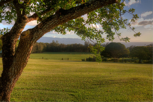 Sunset Ranch Hawaii