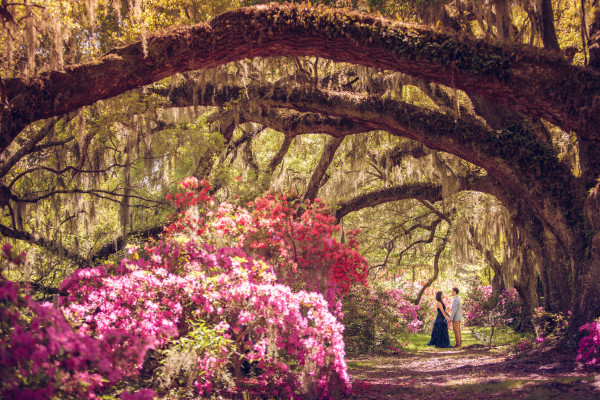 Magnolia Plantation and Gardens