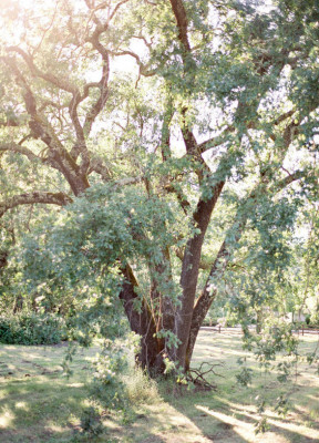 Calistoga Ranch