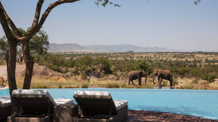 Four Seasons Safari Lodge, Serengeti