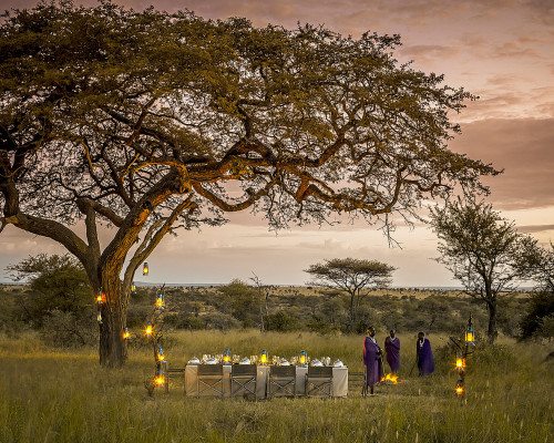 Four Seasons Safari Lodge, Serengeti