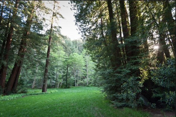 Glen Oaks Big Sur (hotel) & Big Sur Roadhouse (restaurant)