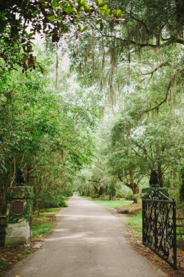 Magnolia Plantation and Gardens