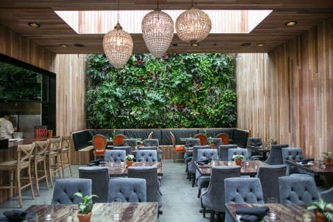 The Patio on Goldfinch