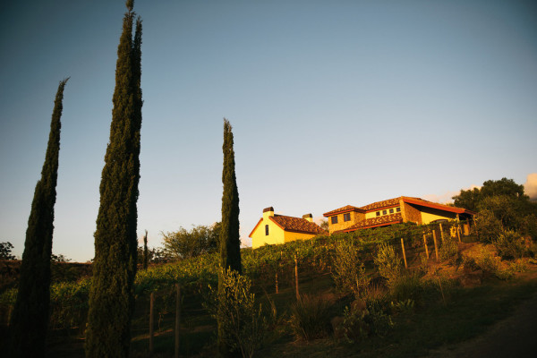 The Villa at Calasa Olive Farm