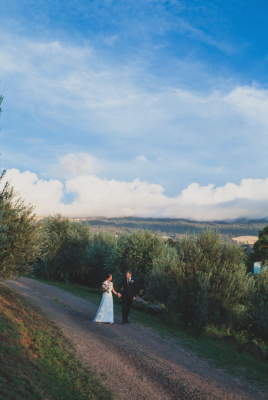 The Villa at Calasa Olive Farm