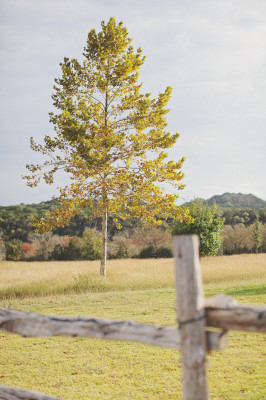 Old Glory Ranch