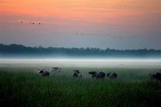 Bamurru Plains