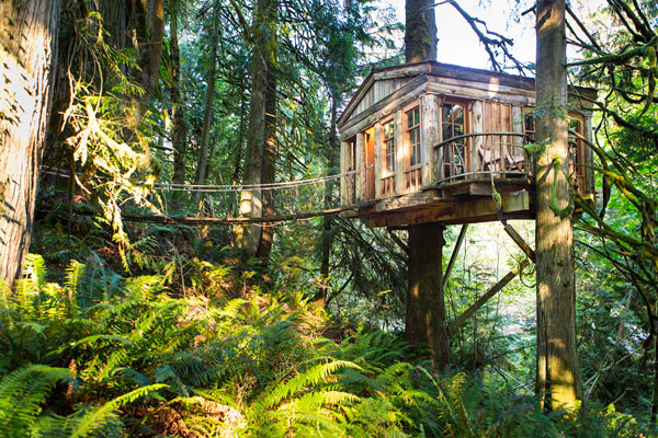 TreeHouse Point