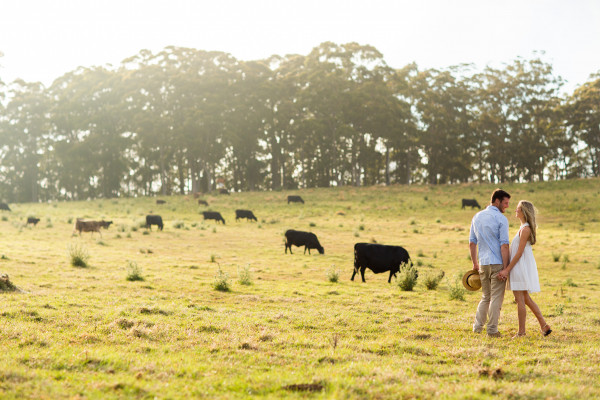 Spicers Peak Lodge