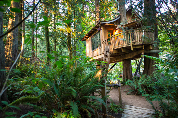 TreeHouse Point