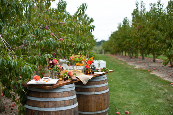 Sweet Berry Farm