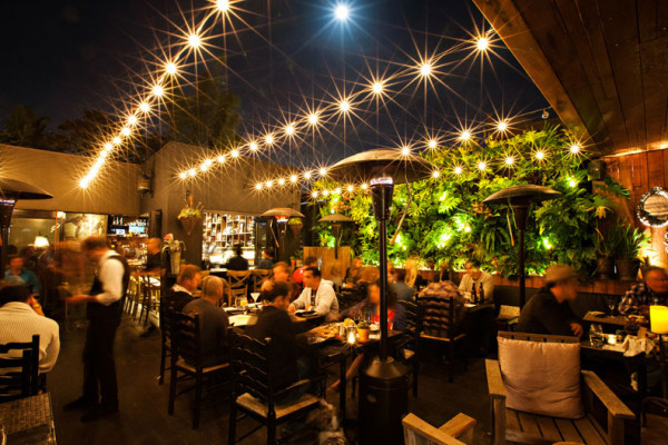 The Patio on Lamont Street