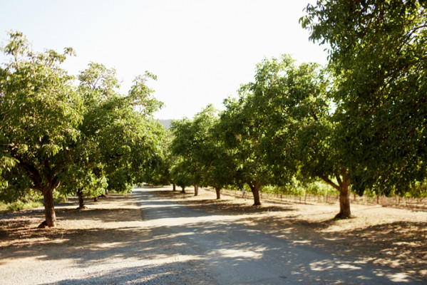 Annadel Estate Winery