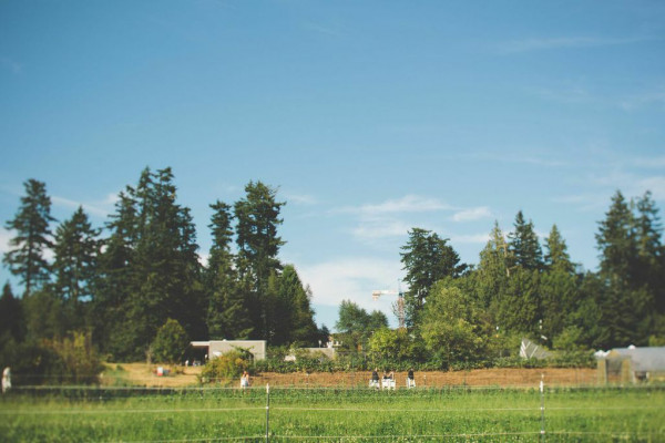 UBC Farm