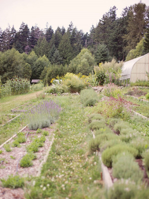 UBC Farm