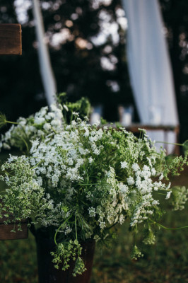 Sweet Meadow Farm and HomePlace