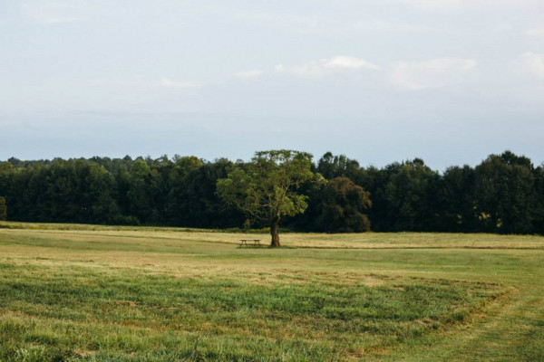 Sweet Meadow Farm and HomePlace