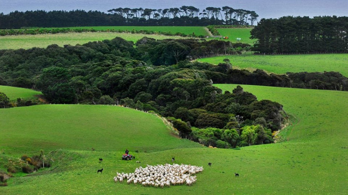 Wharekauhau Country Estate