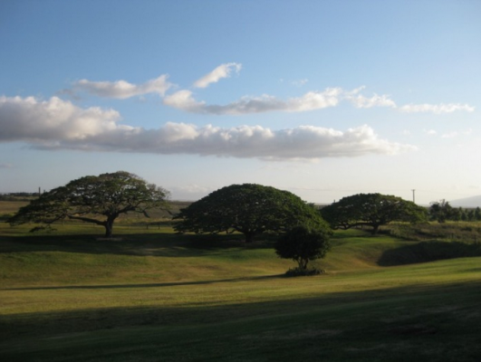 Hui No'eau Visual Arts Center - Maui