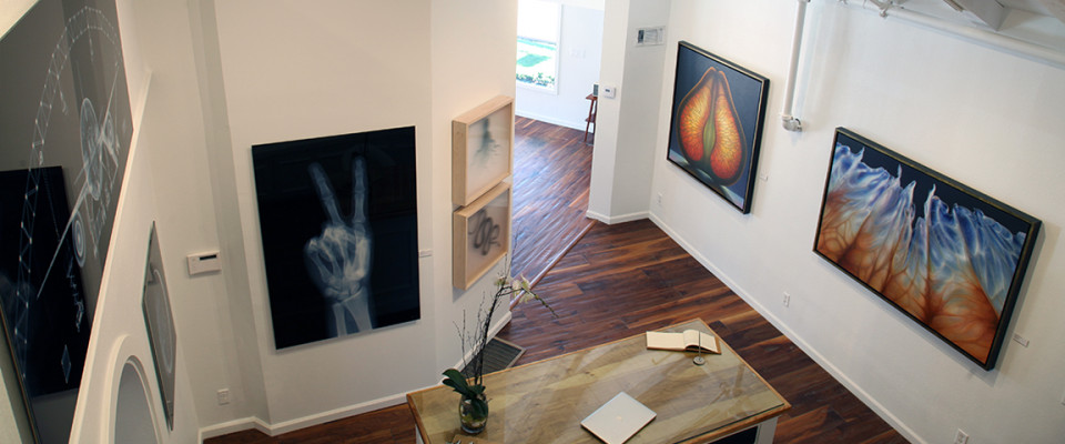 The La Jolla Gallery