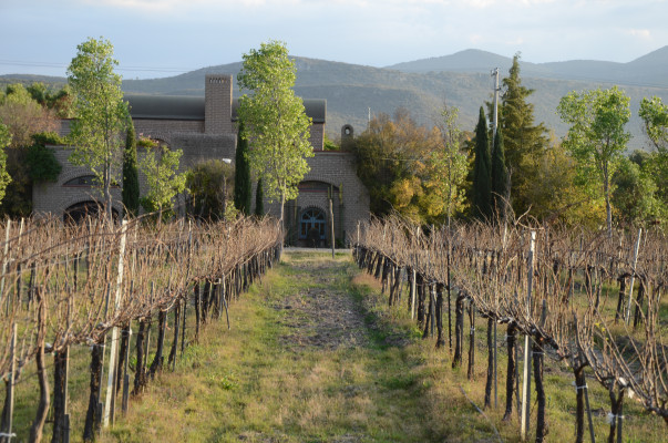 Bodega Dos Búhos