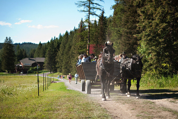 The Bar W Guest Ranch