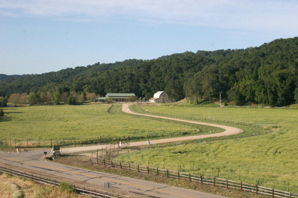 Thacher Winery