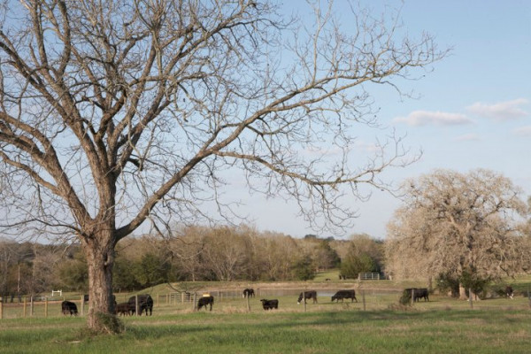 The Prairie at Roundtop