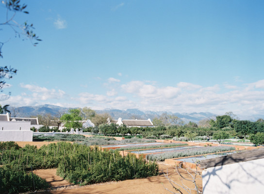 Babylonstoren