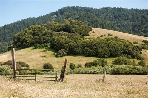 Cow Track Ranch