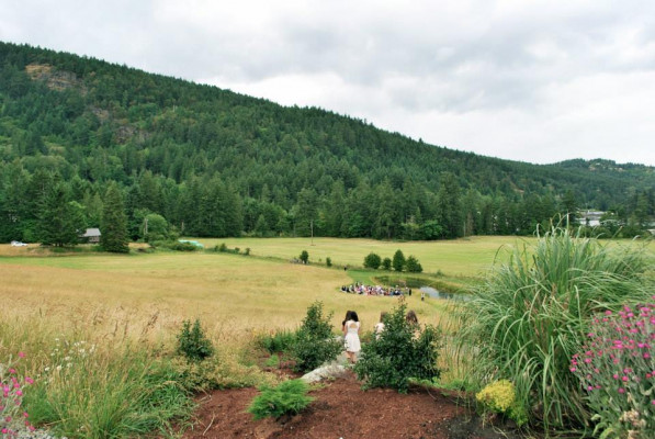 Bird's Eye Cove Farm