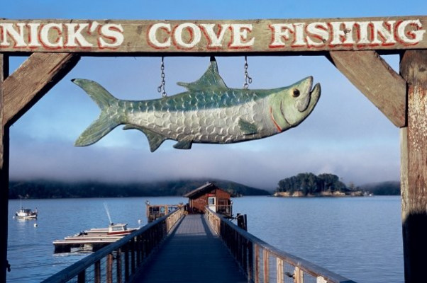 Nick's Cove