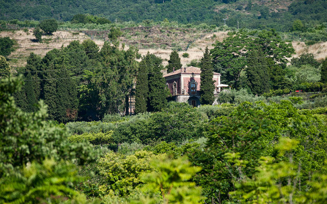 Monaci delle Terre Nere