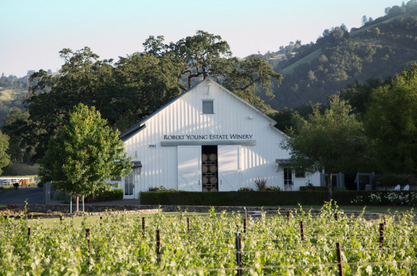 Robert Young Estate Winery