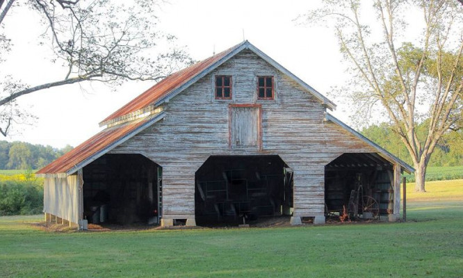 The Fritz Farm