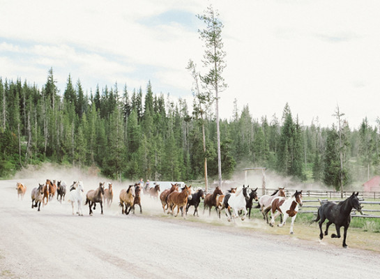 Turpin Meadow Ranch