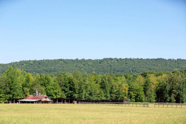 The Farm Rome Ga