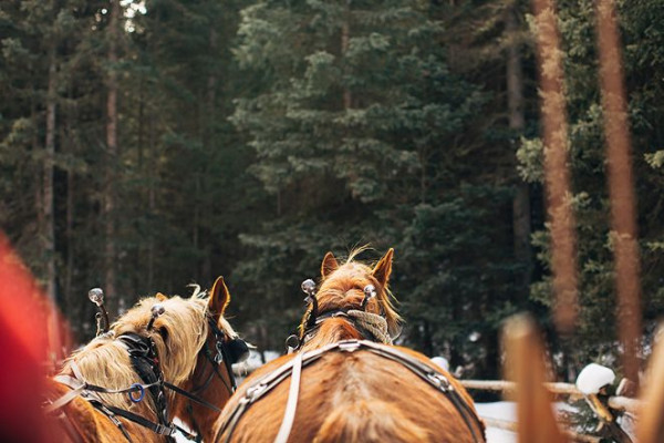 Lone Mountain Ranch