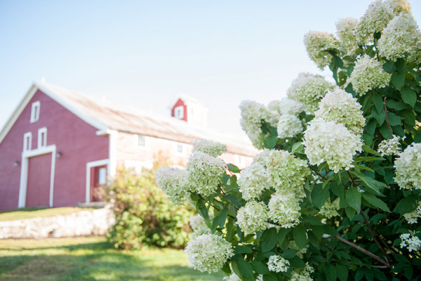 Maple Rock Farm