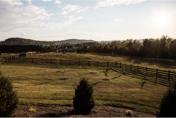 Hermitage Hill Farm and Stables