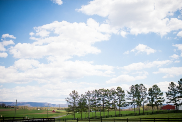 Hermitage Hill Farm and Stables