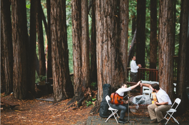 Amphitheatre of the Redwoods at Pema Osel Ling